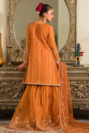 Buy Rust Orange Heavily Embellished Kameez Sharara Pakistani Party Dress