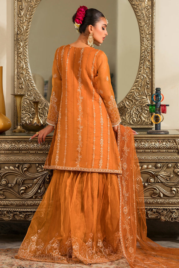 Buy Rust Orange Heavily Embellished Kameez Sharara Pakistani Party Dress