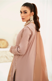 Buy Rusty Pink Embroidered Pakistani Salwar Kameez with Dupatta Dress 2023