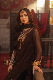 Buy Walnut Brown Embroidered Pakistani Salwar Kameez Dupatta Suit In USA