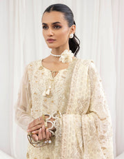 Chiffon Embellished Pakistani Salwar Kameez