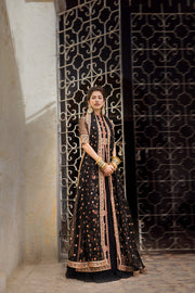 Chiffon Long Pishwas Lehenga Pakistani 