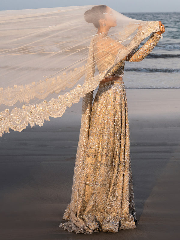 Shop Elegant Pakistani Bridal Lehenga and Choli Ensemble