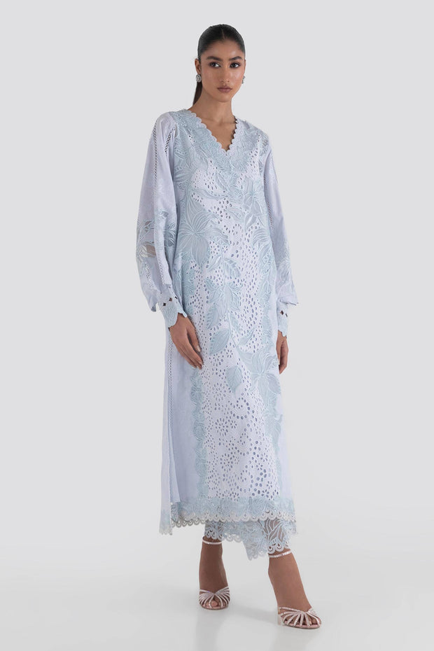 Classic Sky Blue Net Embroidered Luxury Pret Pakistani Salwar Kameez