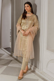 Copper Embroidered Pakistani Salwar Kameez with Dupatta Salwar Suit