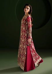 Elegant Ruby Red Pakistani Wedding Dress for Festivities
