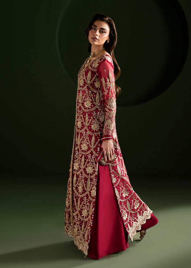 Elegant Ruby Red Pakistani Wedding Dress for Festivities
