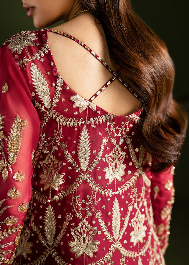 Elegant Ruby Red Pakistani Wedding Dress for Festivities