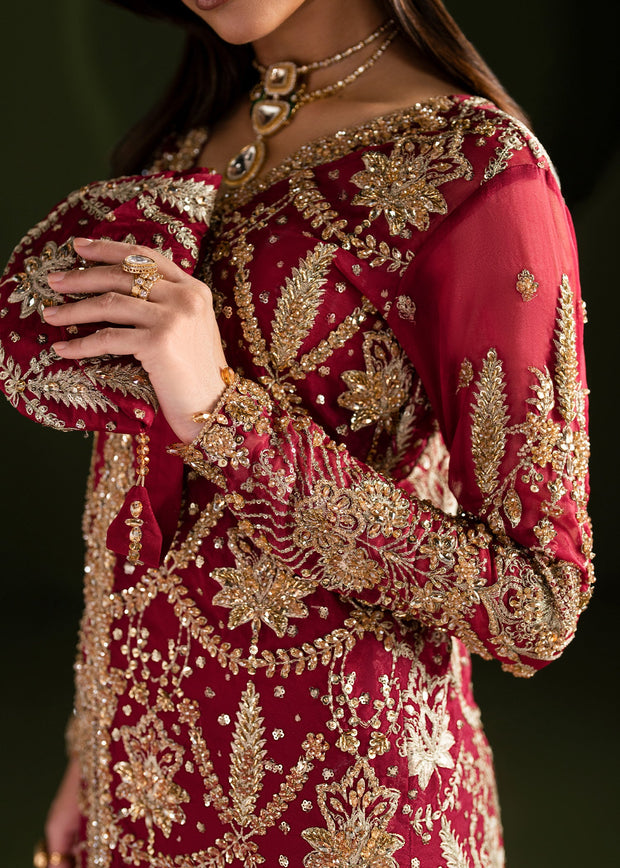 Elegant Ruby Red Pakistani Wedding Dress for Festivities