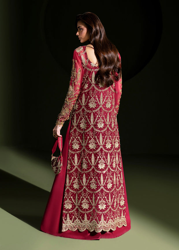 Elegant Ruby Red Pakistani Wedding Dress for Festivities
