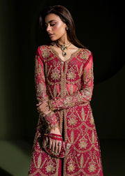 Elegant Ruby Red Pakistani Wedding Dress for Festivities