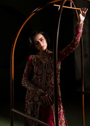 Elegant Ruby Red Pakistani Wedding Dress for Festivities