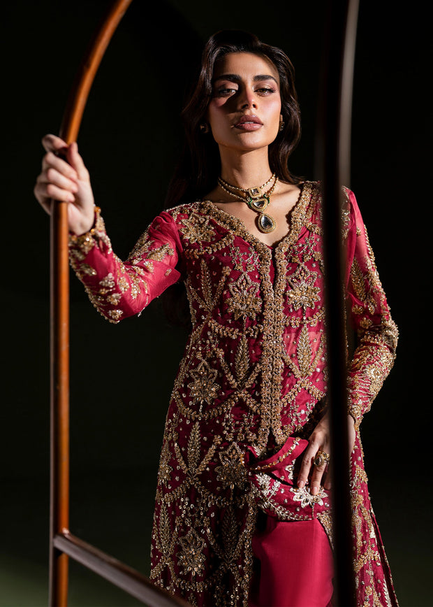 Elegant Ruby Red Pakistani Wedding Dress for Festivities
