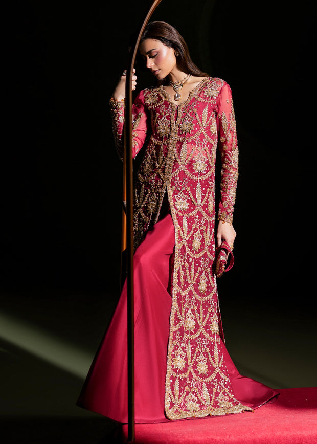 Elegant Ruby Red Pakistani Wedding Dress for Festivities