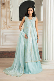 Elegant Kerem Embroidered Net Shirt with Raw Silk Trouser