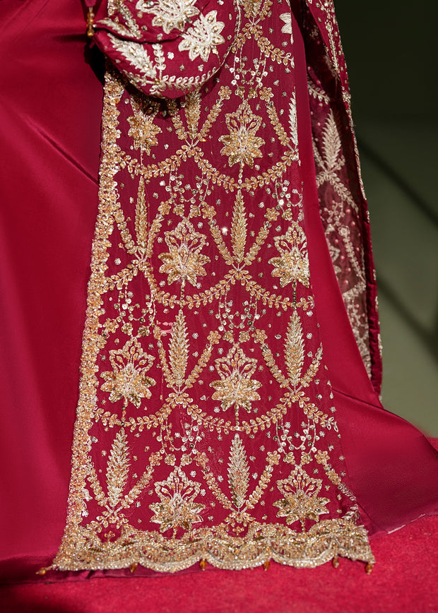 Elegant Ruby Red Pakistani Wedding Dress for Festivities