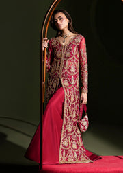 Elegant Ruby Red Pakistani Wedding Dress for Festivities