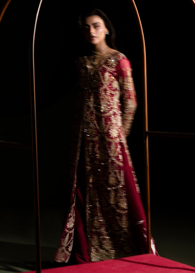 Elegant Ruby Red Pakistani Wedding Dress for Festivities