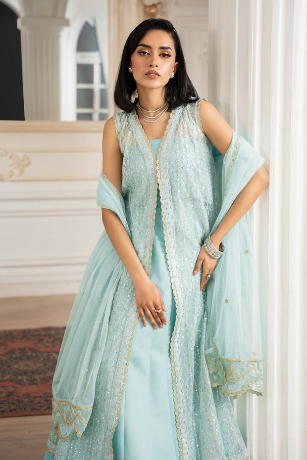 Elegant Kerem Embroidered Net Shirt with Raw Silk Trouser