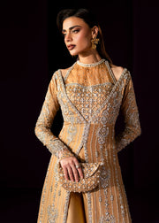 Oriana Golden Beige Pakistani Wedding Dress for Elegance