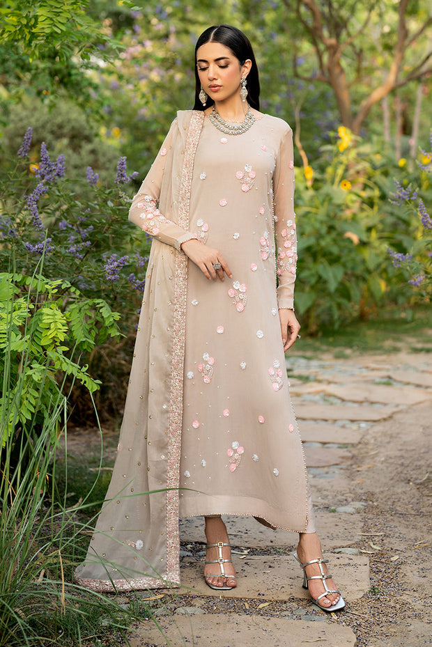 Elegant Hand Embellished Chiffon Dress Set in Rich Color