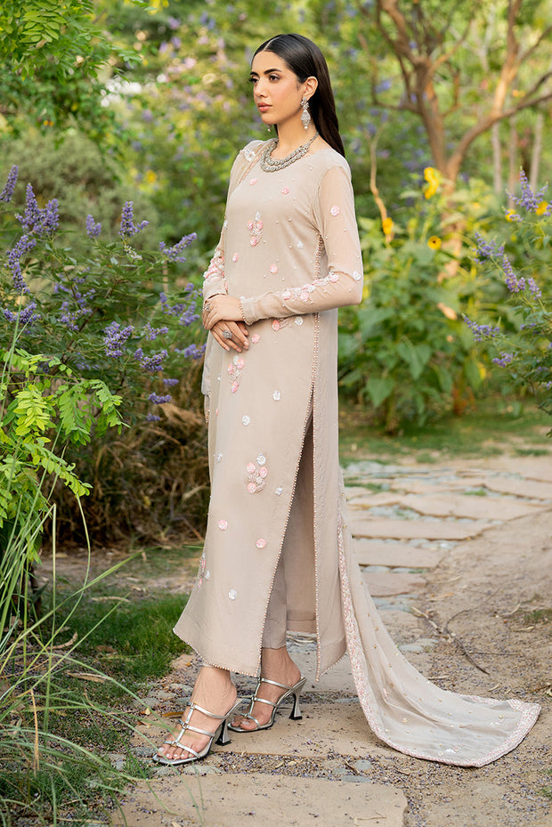 Elegant Hand Embellished Chiffon Dress Set in Rich Color