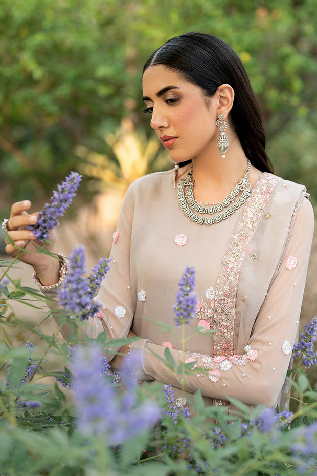 Elegant Hand Embellished Chiffon Dress Set in Rich Color