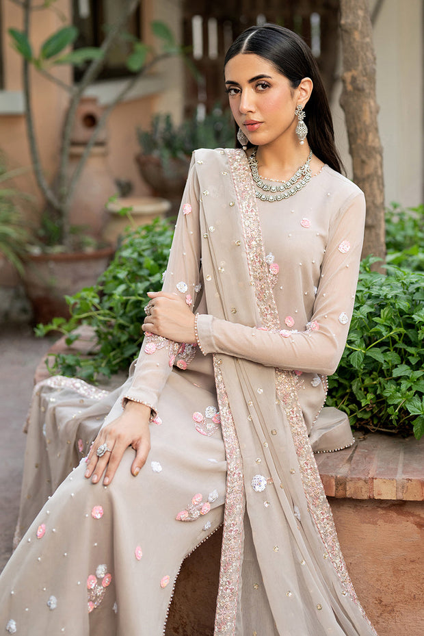 Elegant Hand Embellished Chiffon Dress Set in Rich Color