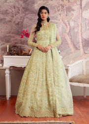 Elegant Pistachio Pakistani Party Dress for Festive Occasions