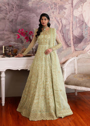 Elegant Pistachio Pakistani Party Dress for Festive Occasions
