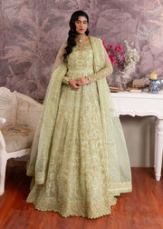 Elegant Pistachio Pakistani Party Dress for Festive Occasions