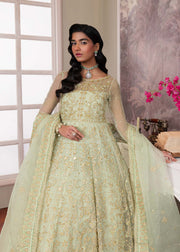 Elegant Pistachio Pakistani Party Dress for Festive Occasions