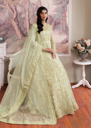 Elegant Pistachio Pakistani Party Dress for Festive Occasions