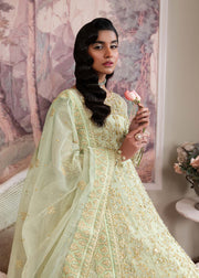 Elegant Pistachio Pakistani Party Dress for Festive Occasions
