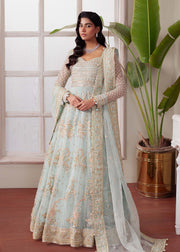 Majestic Ferozi Pakistani Party Dress for Celebrations