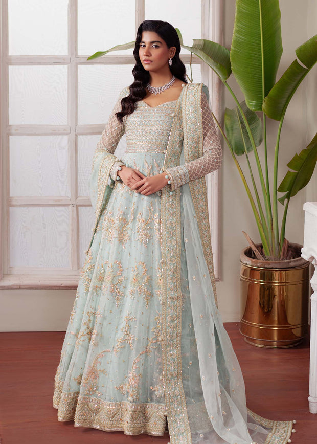 Majestic Ferozi Pakistani Party Dress for Celebrations