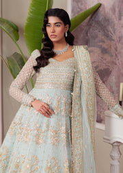 Majestic Ferozi Pakistani Party Dress for Celebrations