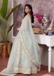 Majestic Ferozi Pakistani Party Dress for Celebrations