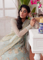 Majestic Ferozi Pakistani Party Dress for Celebrations