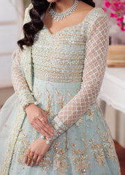 Majestic Ferozi Pakistani Party Dress for Celebrations