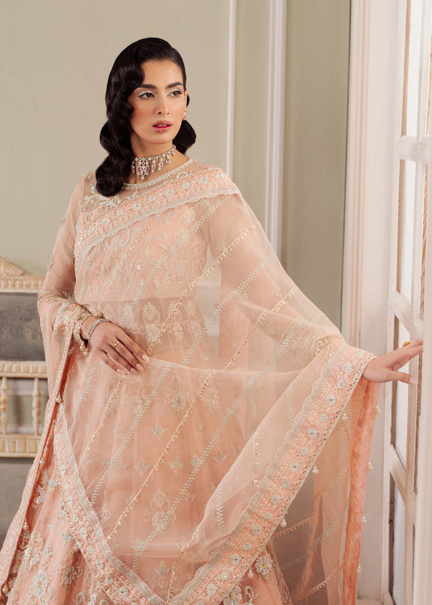 Elegant Peach Pink Pakistani Party Dress for Celebrations