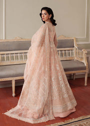 Elegant Peach Pink Pakistani Party Dress for Celebrations