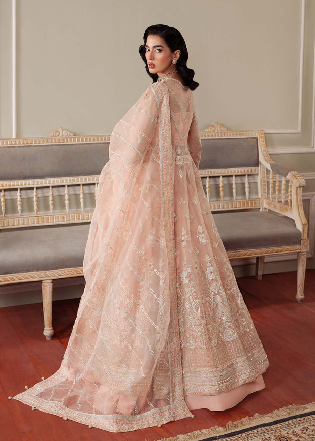 Elegant Peach Pink Pakistani Party Dress for Celebrations