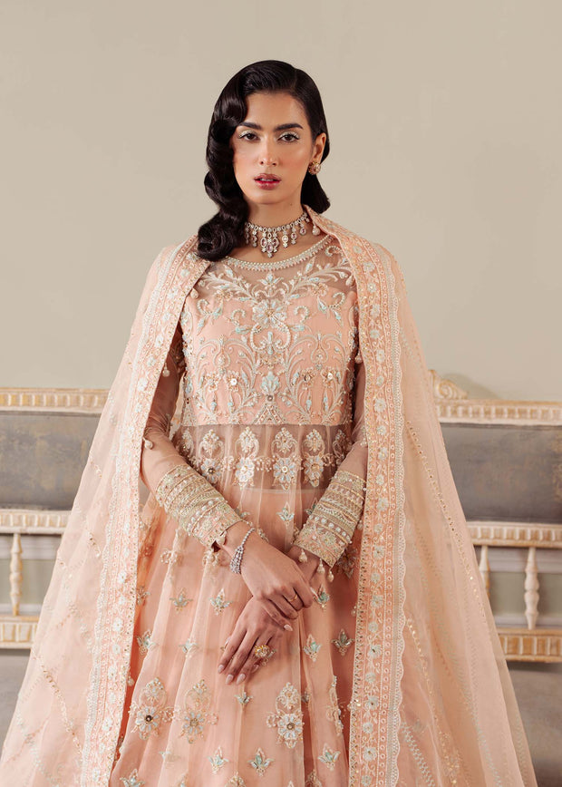 Elegant Peach Pink Pakistani Party Dress for Celebrations