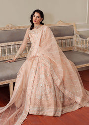 Elegant Peach Pink Pakistani Party Dress for Celebrations