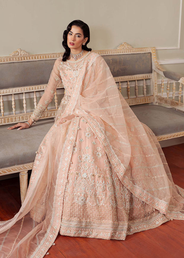 Elegant Peach Pink Pakistani Party Dress for Celebrations