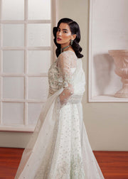 Elegant White Pakistani Party Dress for Special Occasions