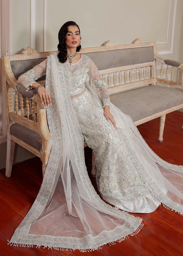 Elegant White Pakistani Party Dress for Special Occasions