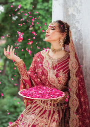 Elegant Mehroon Pakistani Bridal Dress for Festive Occasions