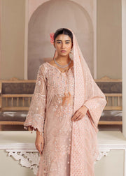 Elegant Peachy Pink Pakistani Party Dress for Any Occasion